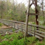 Suspended bridge over the Jackson River