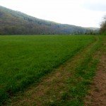 Double track near the Hidden Valley Campground