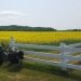 Desbarats, Ontario