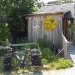 Harvest Moon Organic Bakery