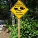Wildlife Crossing