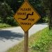 Brake for Snakes