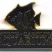 North Carolina Aquariums