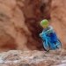 Bryce Canyon National Park