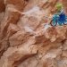 Bryce Canyon National Park